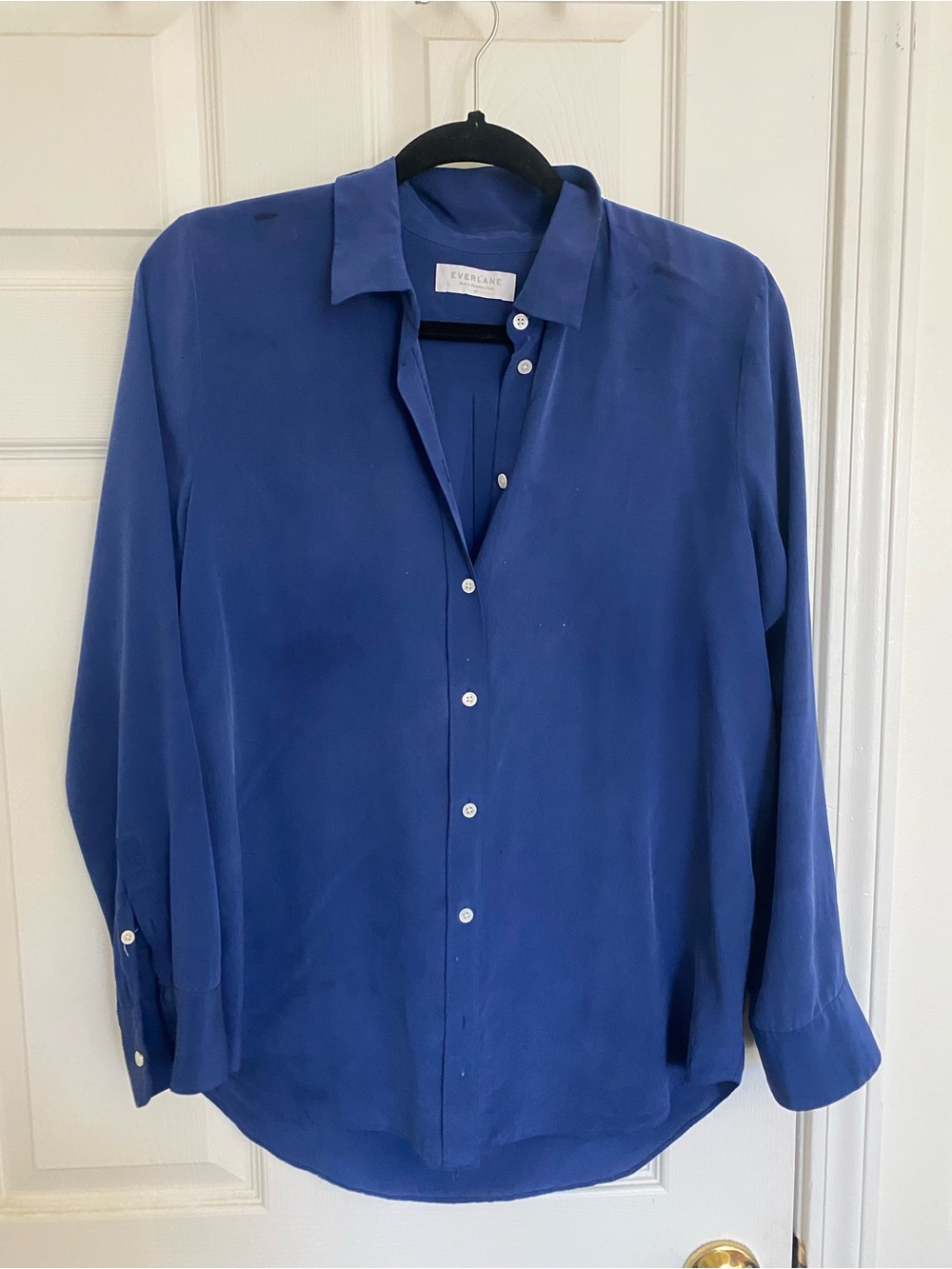 Everlane 100% Silk Blue Button-Down Shirt